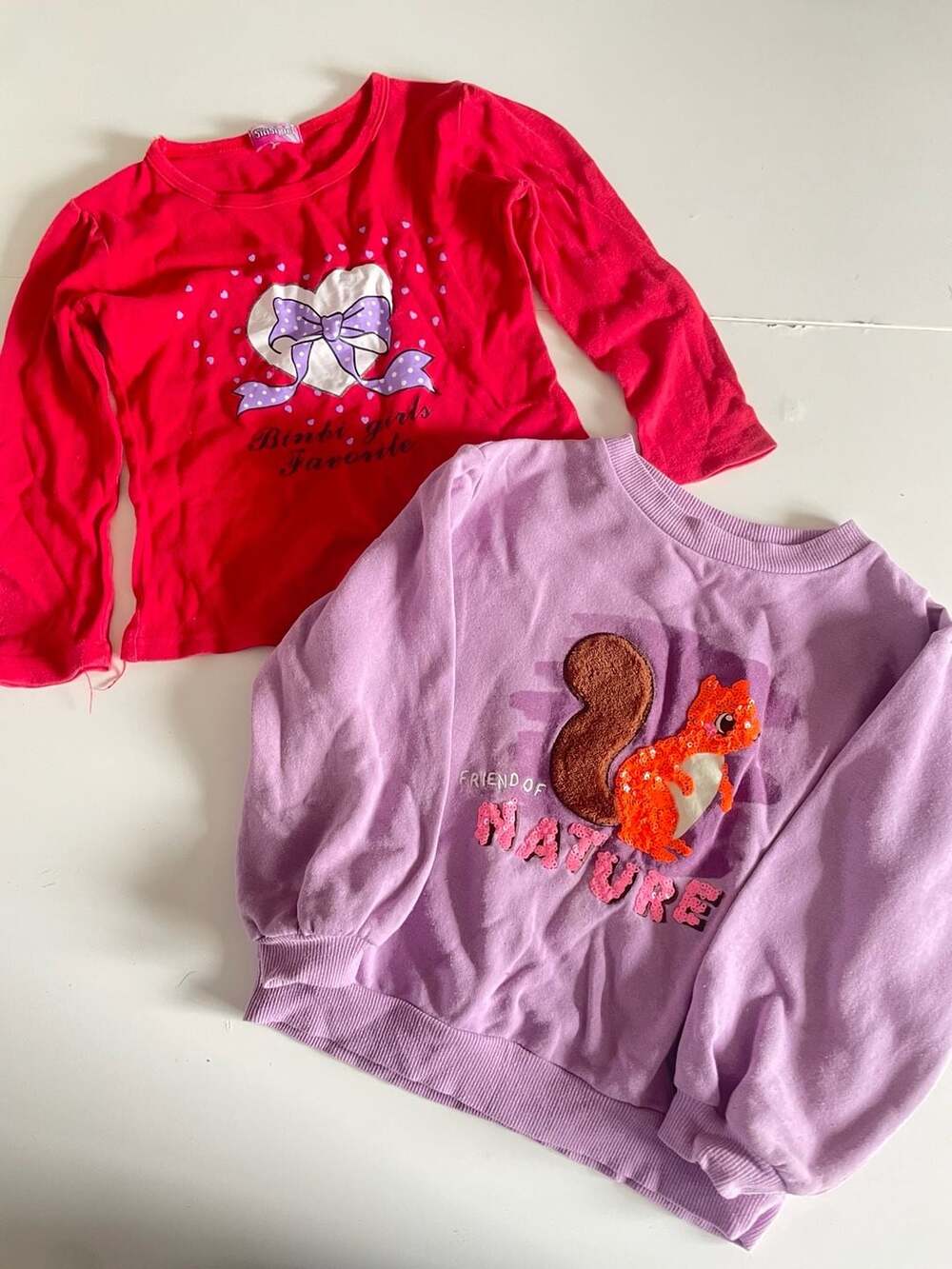 2 pack bulk H&M Friend of Nature Squirrel Sweatshirt Size 5T/6 Purple